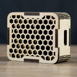 Speaker Case