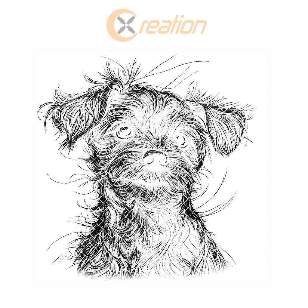 3D Illusion Dog Coaster Laser Engraving File, Slate