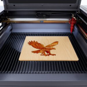 3D Laser Engraved Eagle Art, Majestic Home Decor