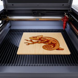 Chameleon 3D Illusion Laser Engraving File, Animal Branch