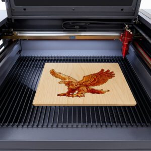 Eagle 3D Illusion Design File, Stunning Wildlife Décor