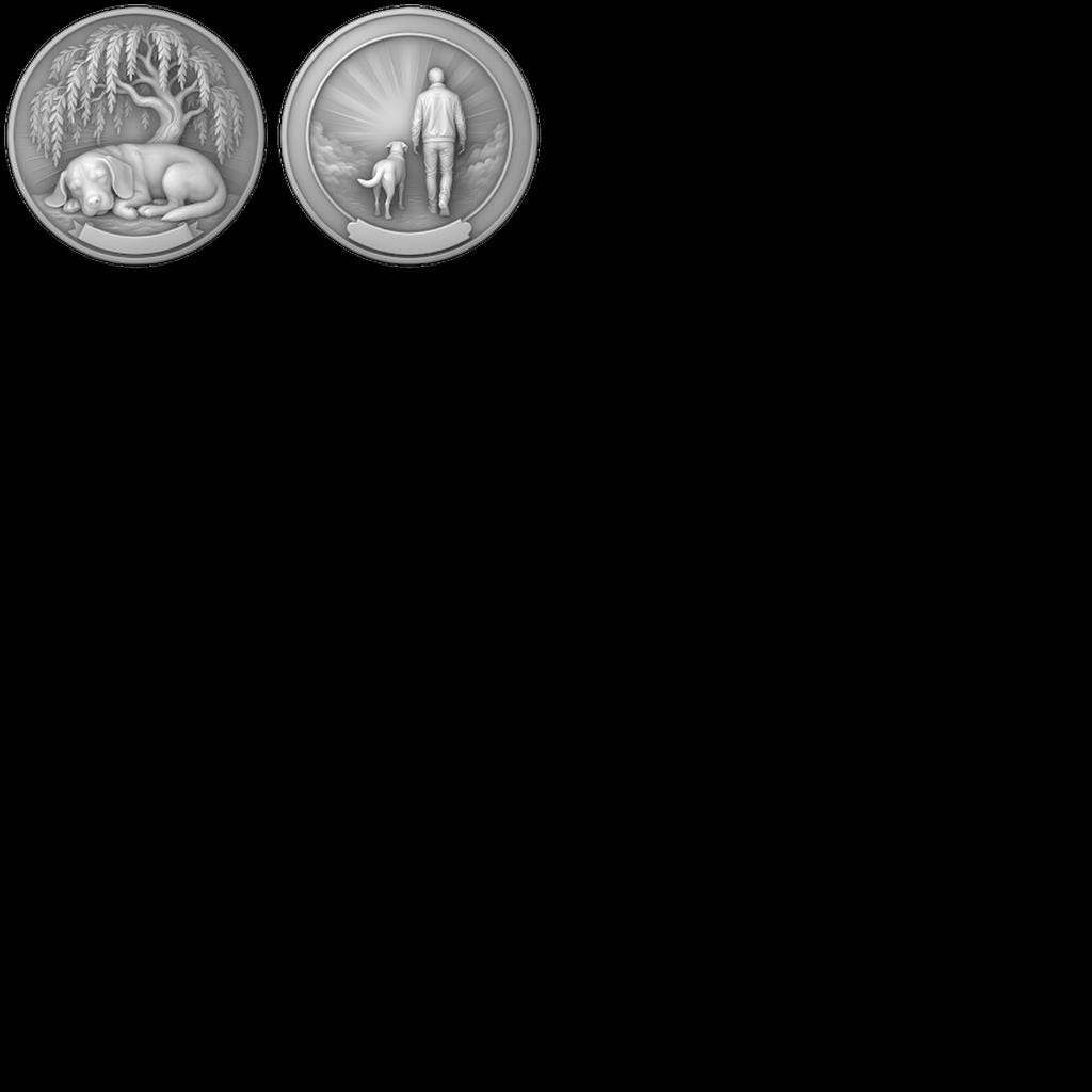 Fallen Hero Memorial Coin Engraving File, Veteran Military Bronze Relief PNG