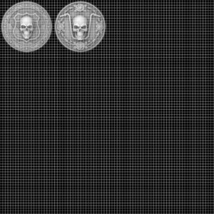 50 Tactical Skull Challenge Coin 3D Relief PNGs, Laser Engraving Depth Maps